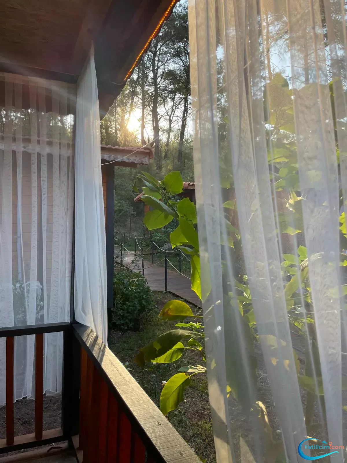 tatilcim.com Eylül Pansiyon Olimpos